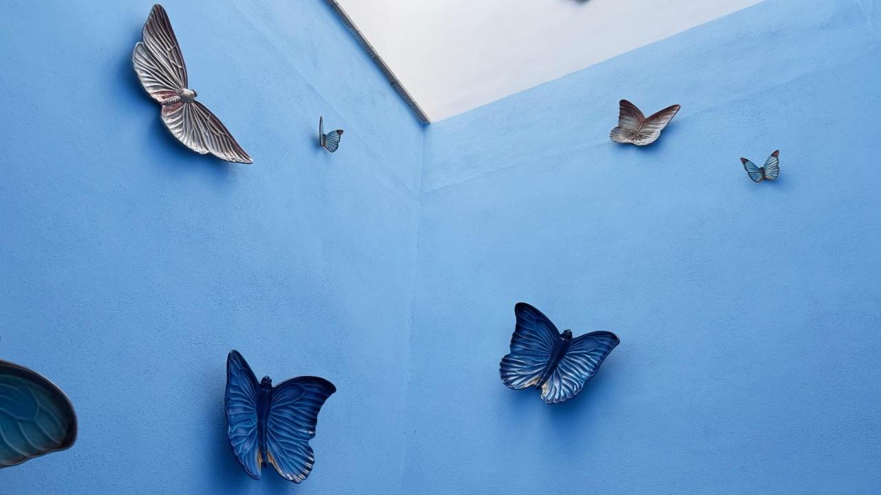Casa Alhaja By Shiadu Otel Sevilla Dış mekan fotoğraf